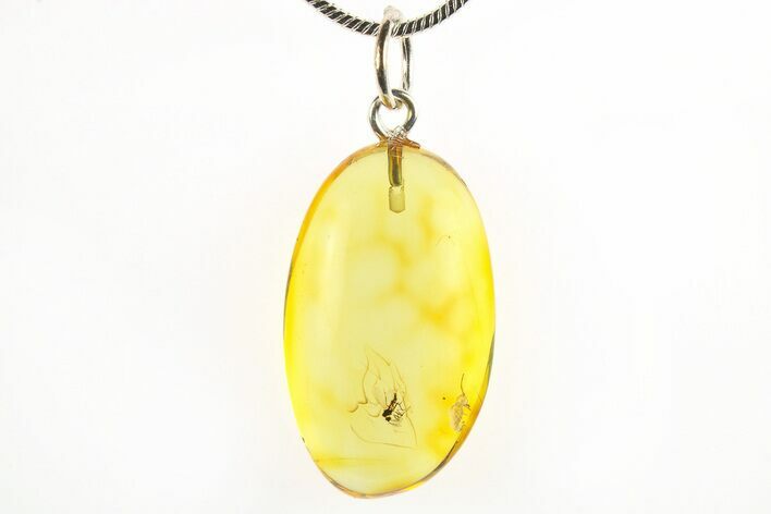 Polished Baltic Amber Pendant (Necklace) - Contains Fly! #275831